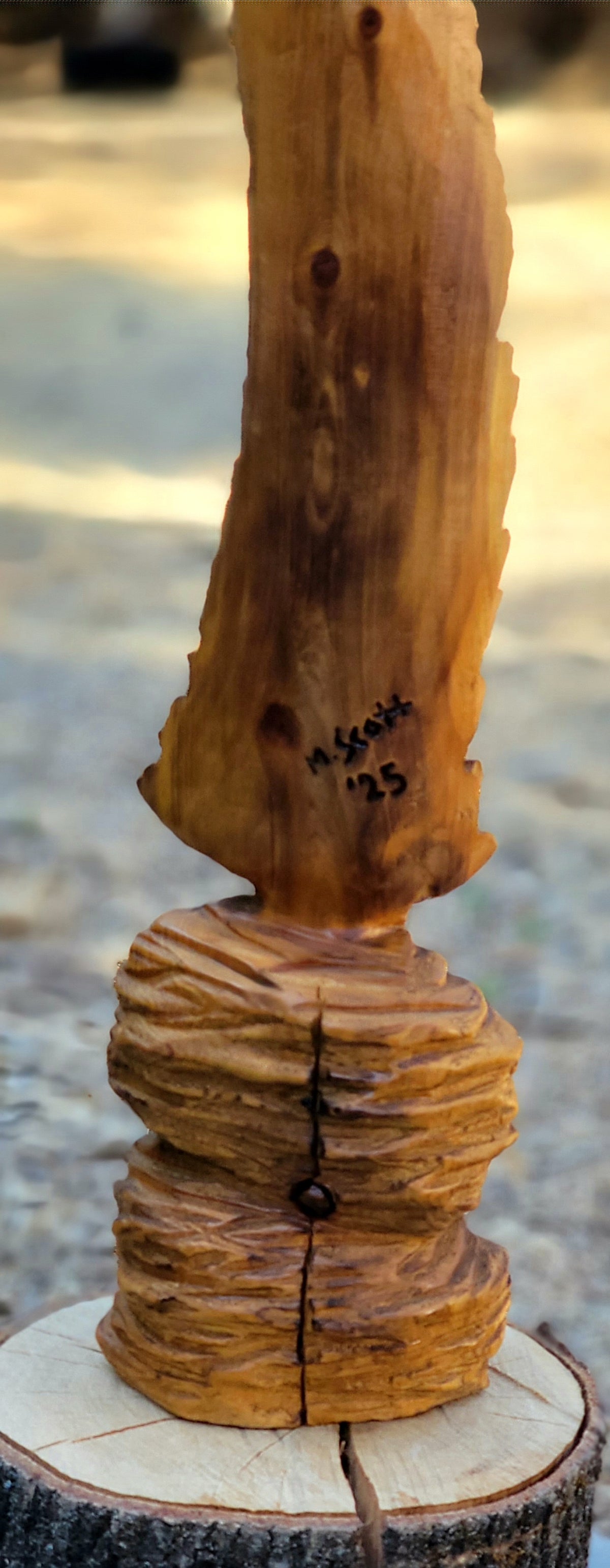 "From the Ashes" mini- Creek Fire Burnt Cedar Feather
