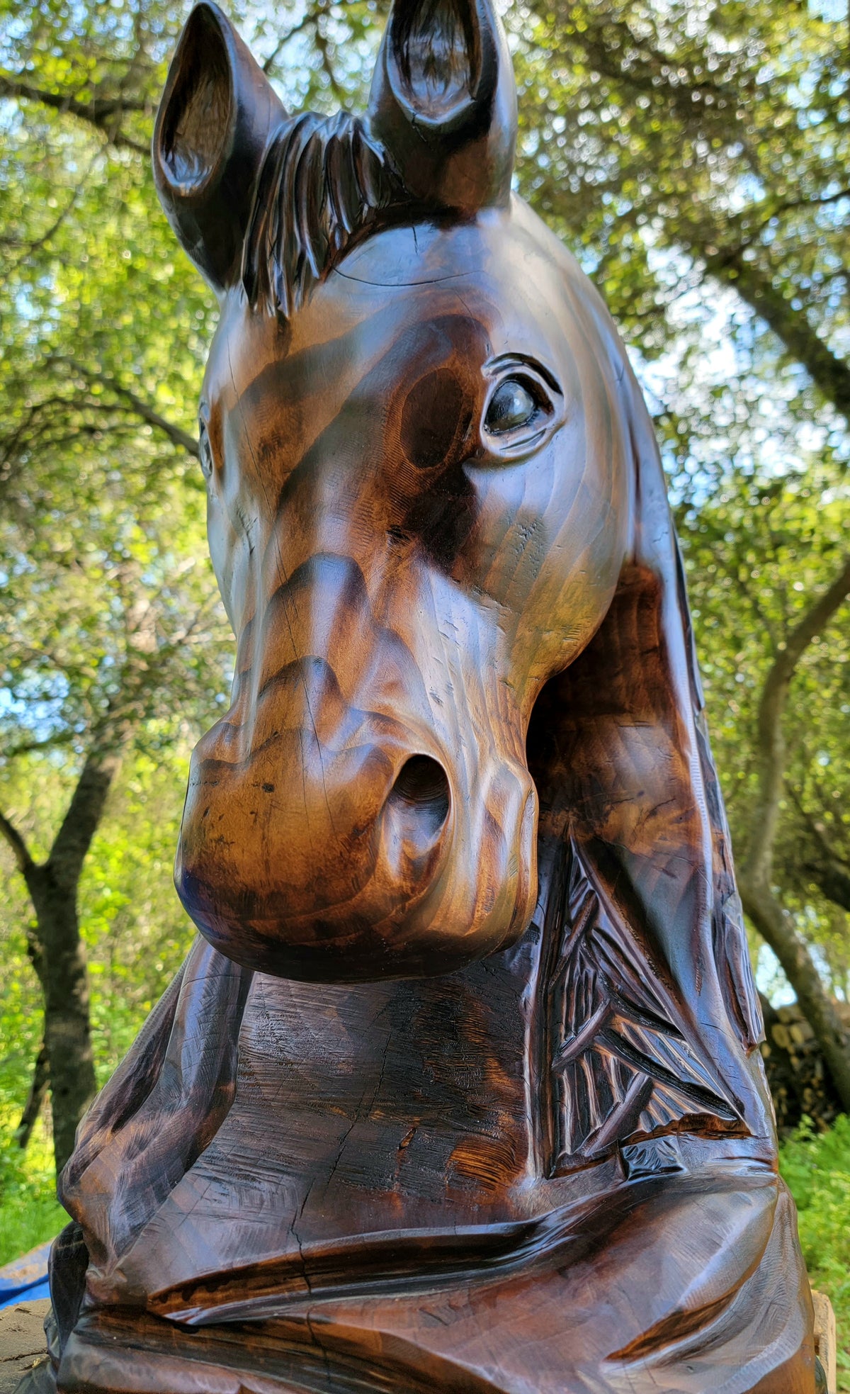 Chainsaw Carved Horse Bust- "Chester" (Made to Order)