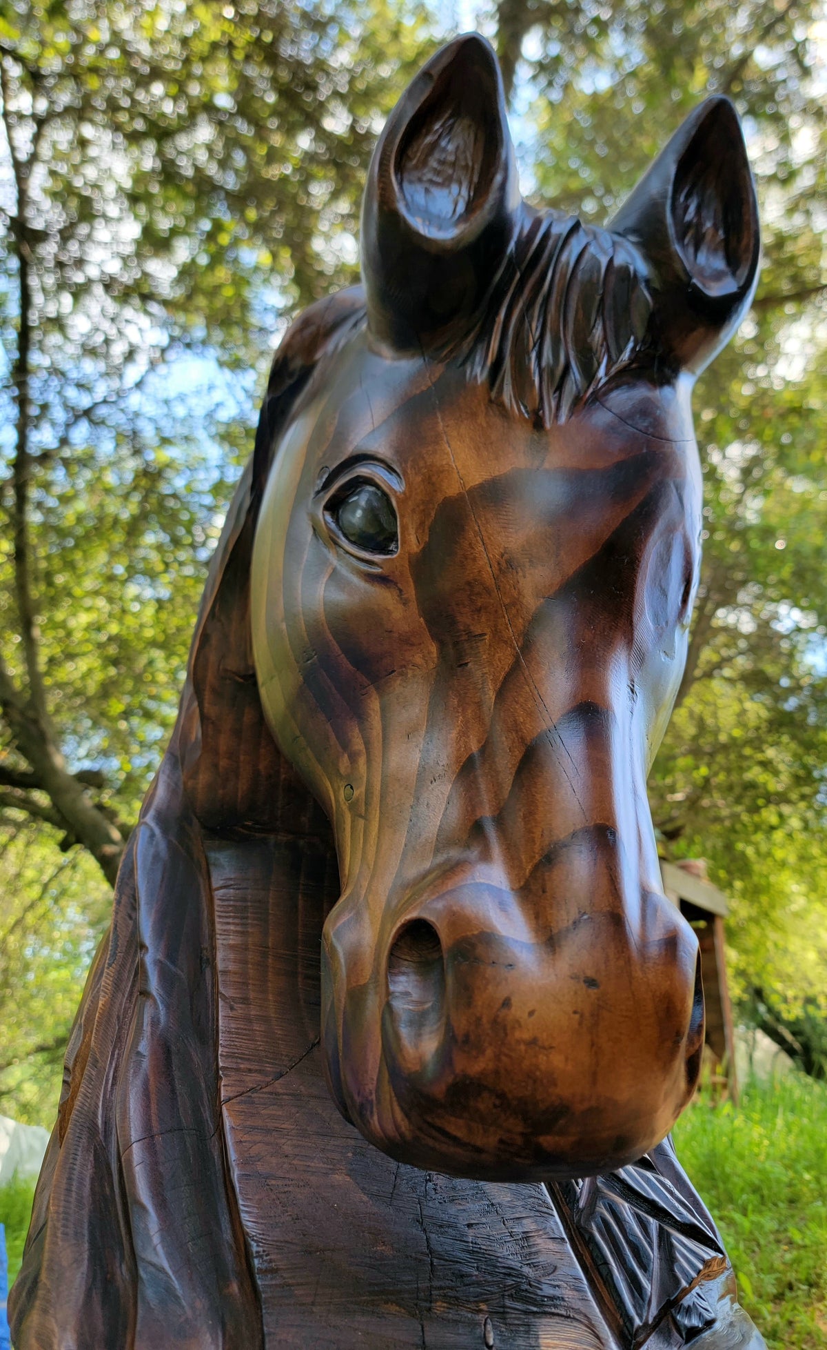 Chainsaw Carved Horse Bust- "Chester" (Made to Order)