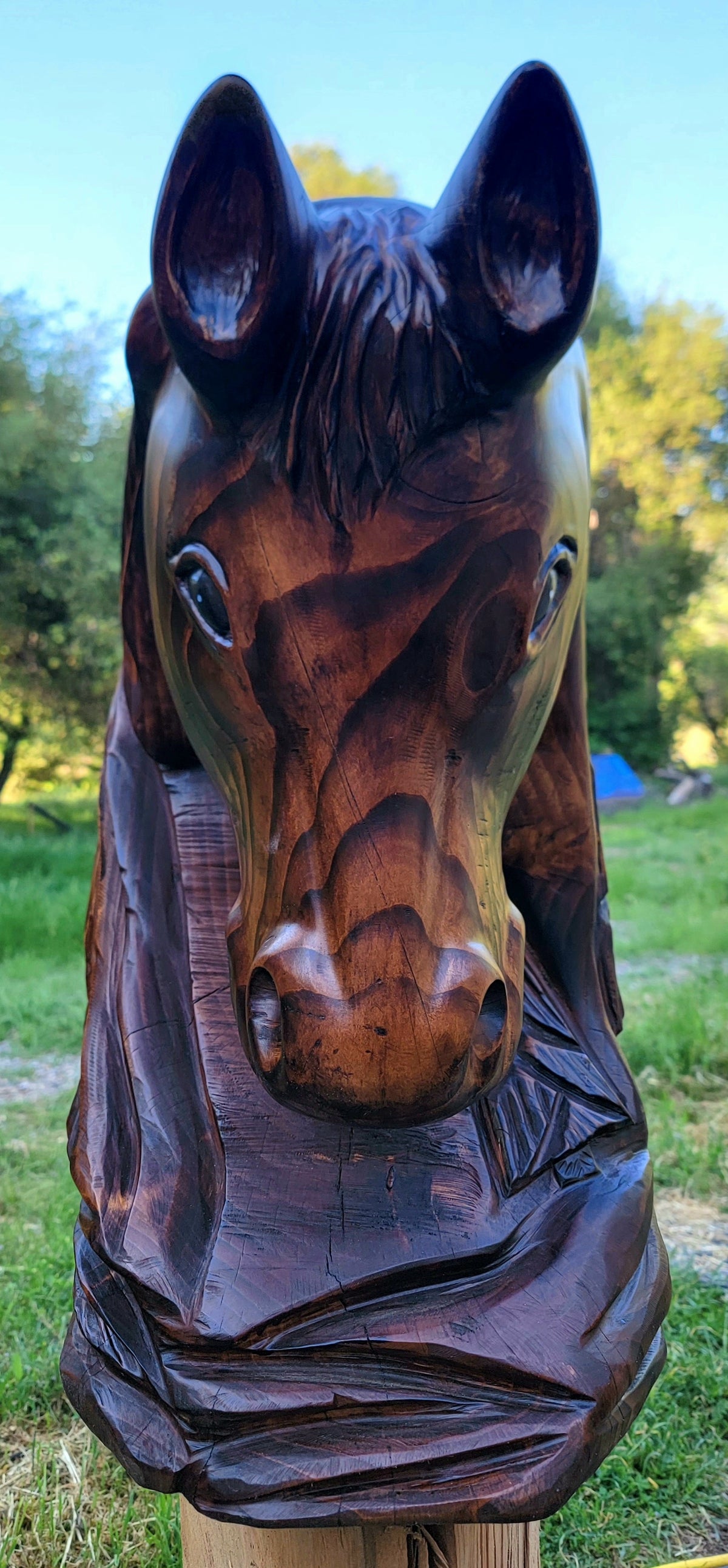 Chainsaw Carved Horse Bust- "Chester" (Made to Order)