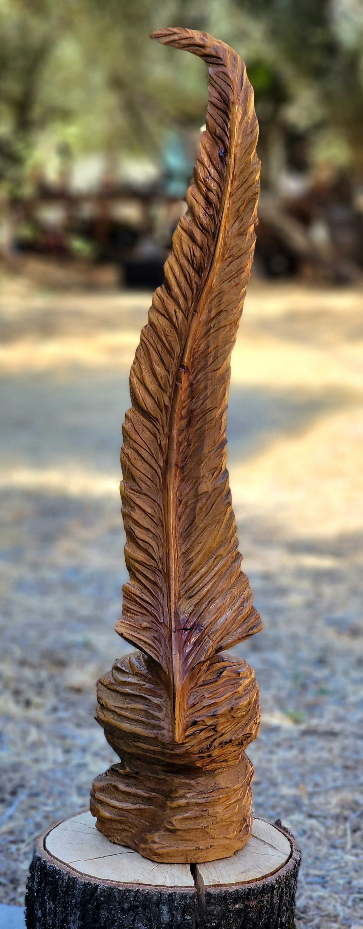 "From the Ashes" mini- Creek Fire Burnt Cedar Feather