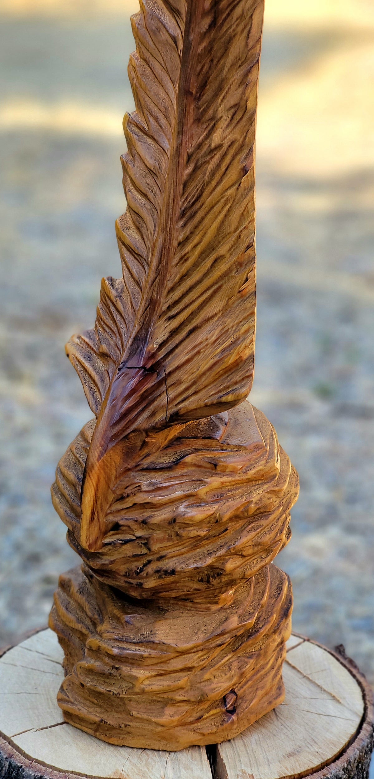 "From the Ashes" mini- Creek Fire Burnt Cedar Feather